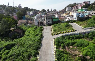 Chill Breeze Garden