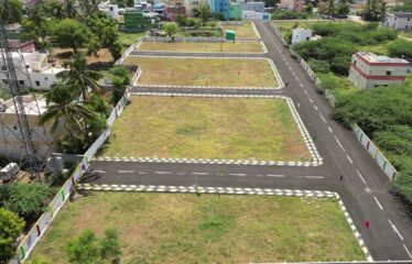 Green City