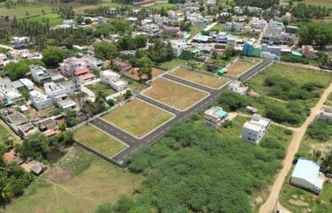 Green City